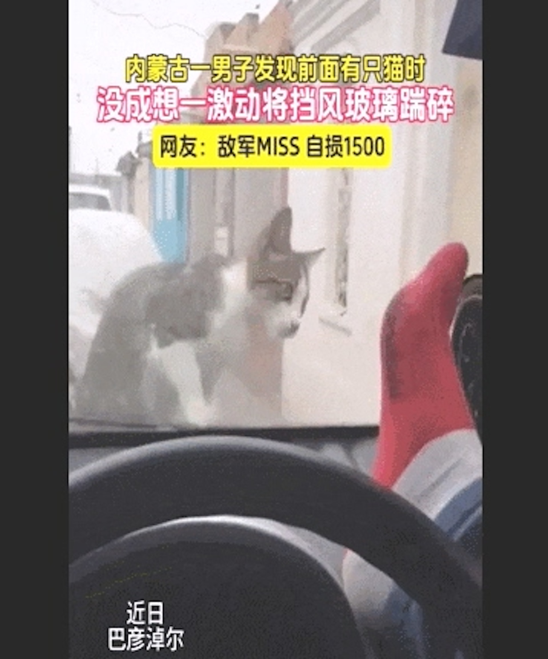 流浪貓靠近車窗,沒想到車主會一腳踢過去,結果悲劇發生了。(貓來了提供) 流浪貓靠近車窗,沒想到車主會一腳踢過去,結果悲劇發生了。(貓來了提供)