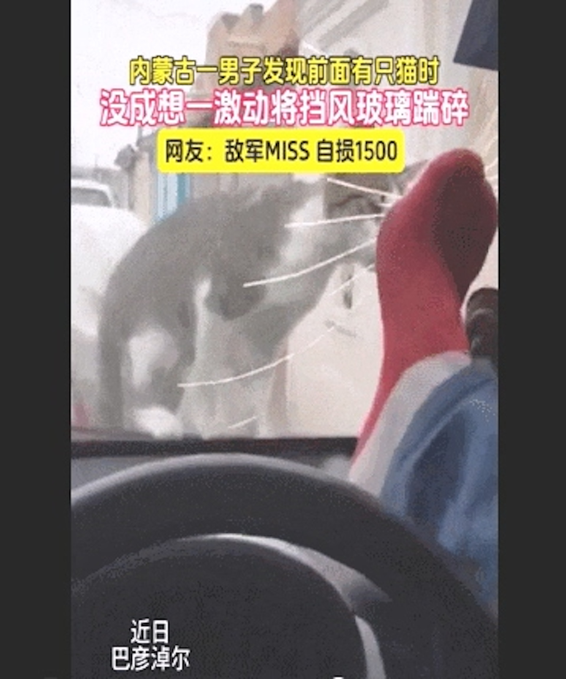 流浪貓靠近車窗,沒想到車主會一腳踢過去,結果悲劇發生了。(貓來了提供) 流浪貓靠近車窗,沒想到車主會一腳踢過去,結果悲劇發生了。(貓來了提供)