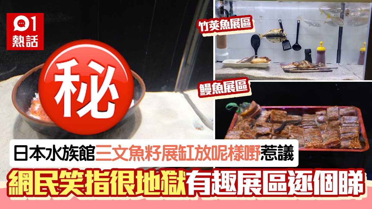 地獄創意！日本水族館咁樣展示鮭魚寶寶　網民笑：提前告知未來？