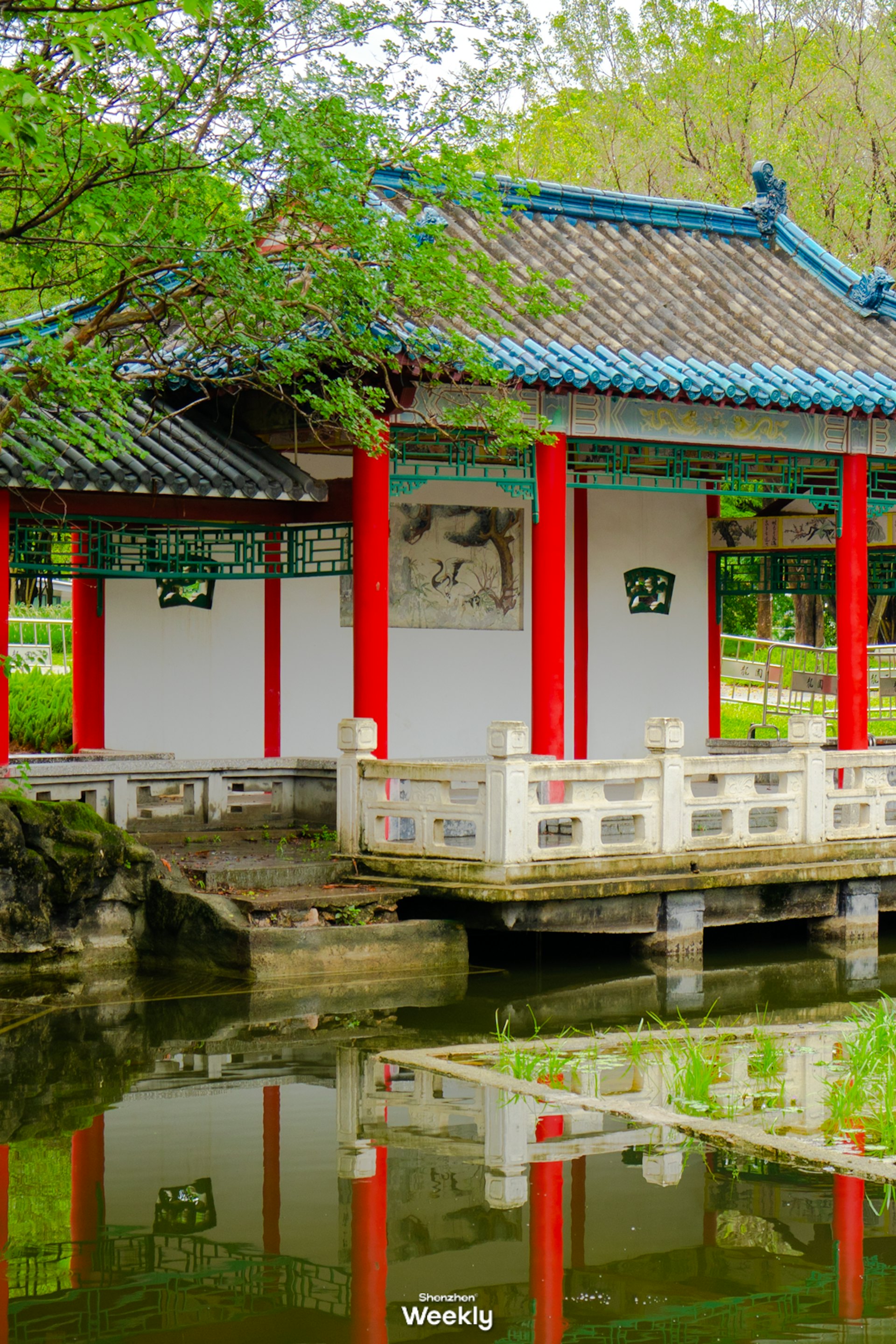 龍園公園(ShenzhenWeekly授權使用) 龍園公園(ShenzhenWeekly授權使用)