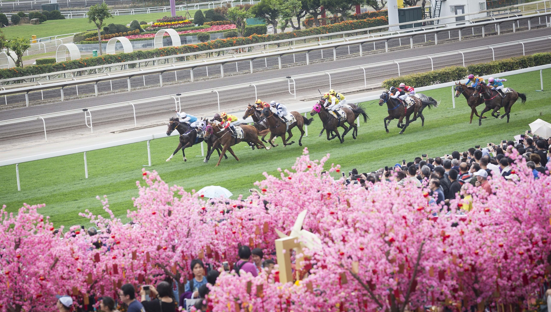 沙田馬場新春賀年活動！（圖片來源：香港賽馬會官方提供）