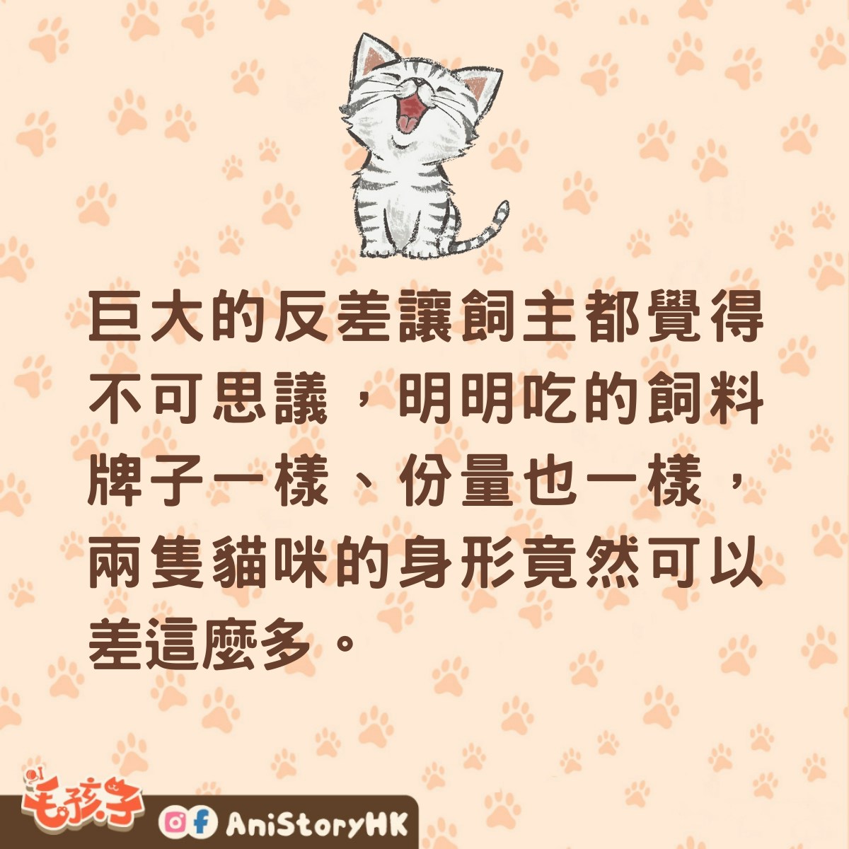 一名女子家中養了2隻同年紀的唐貓，兩隻貓咪從小到大都吃一樣牌子、一樣份量的飼料，但橘貓的身材竟比虎斑貓身形大上三倍以上，胖到跟瓦斯桶一樣，連飼主都百思不得其解。（小紅書@是肥宅阿）