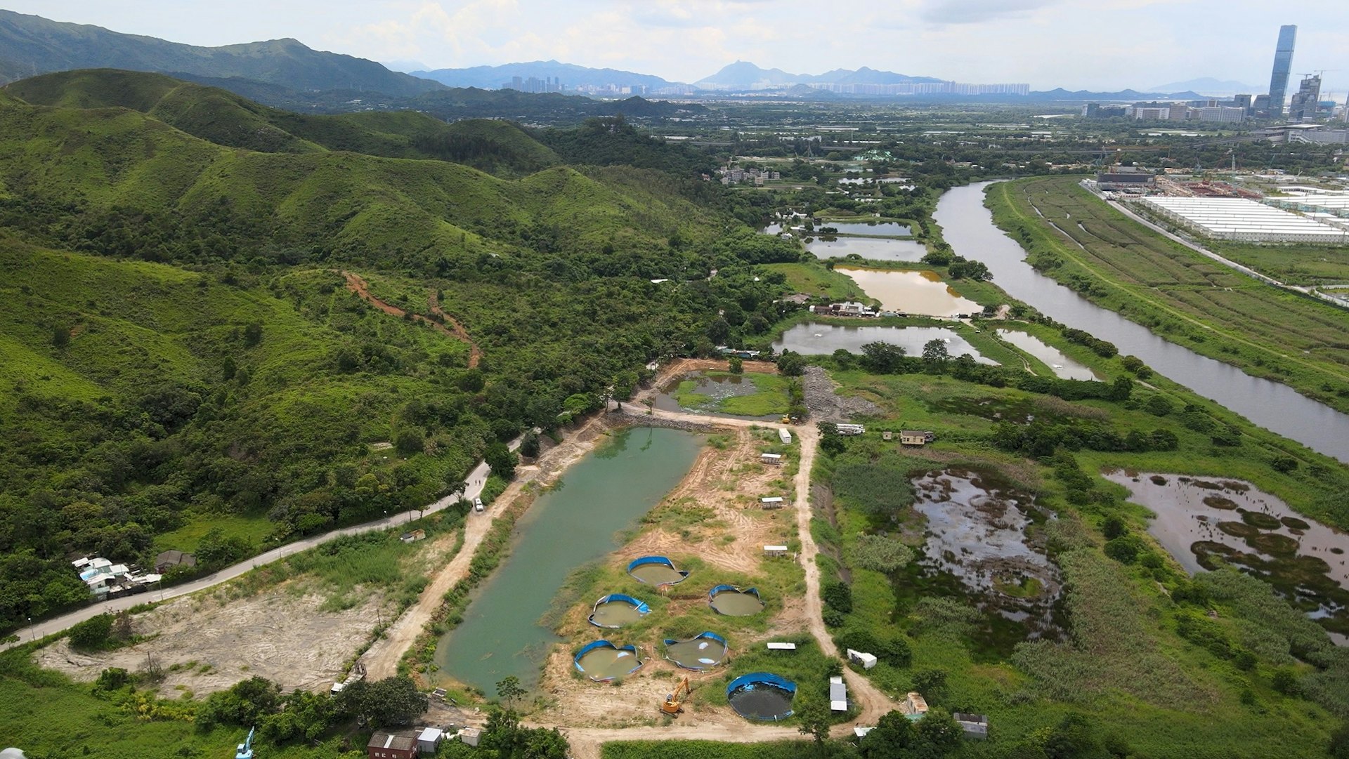 新田惇裕路落馬洲口岸旁的魚塘濕地,面積約18.6公頃,全部位於濕地保育區。(綠色和平提供) 新田惇裕路落馬洲口岸旁的魚塘濕地,面積約18.6公頃,全部位於濕地保育區。(綠色和平提供)