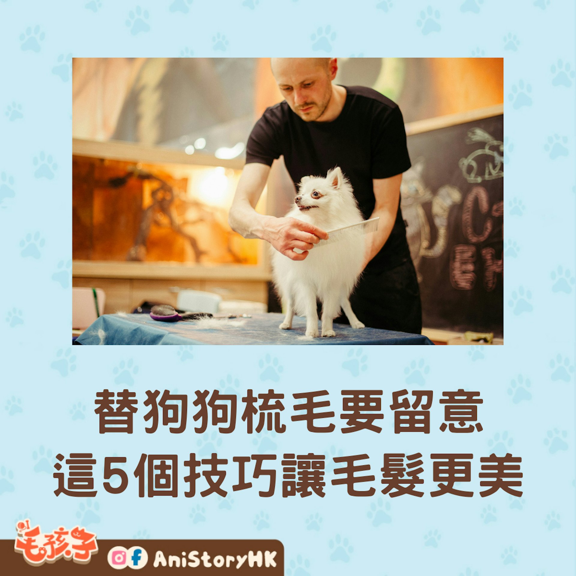 替狗狗梳理毛髮,原來要留意這些事。(01製圖) 替狗狗梳理毛髮,原來要留意這些事。(01製圖)