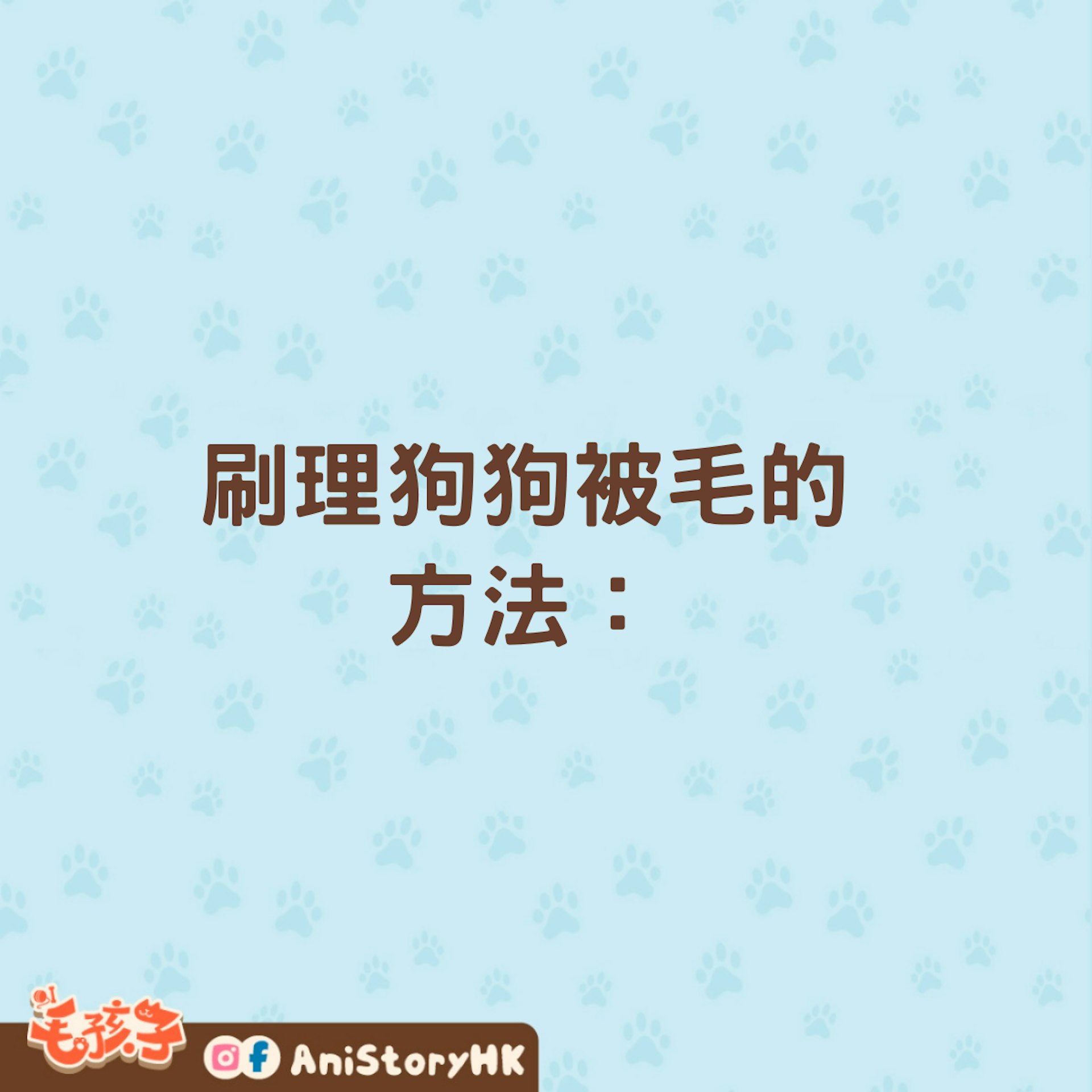替狗狗梳理毛髮,原來要留意這些事。(01製圖) 替狗狗梳理毛髮,原來要留意這些事。(01製圖)