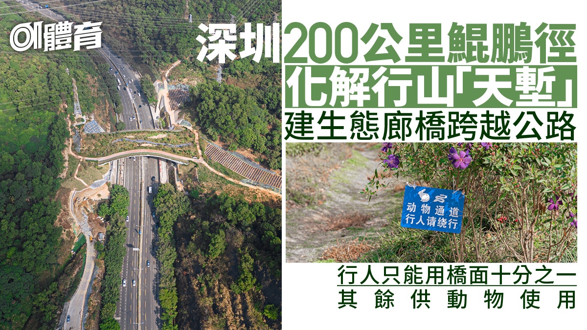 深圳行山｜打卡鯤鵬徑一號橋橫亙兩山之間 漫遊市中心5大公園