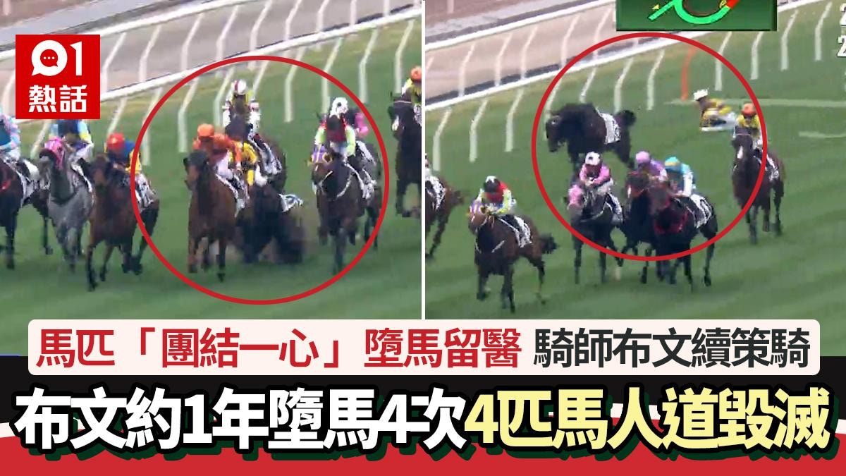 沙田馬場「團結一心」墮馬騎師布文約1年墮馬4次3匹馬人道毀滅