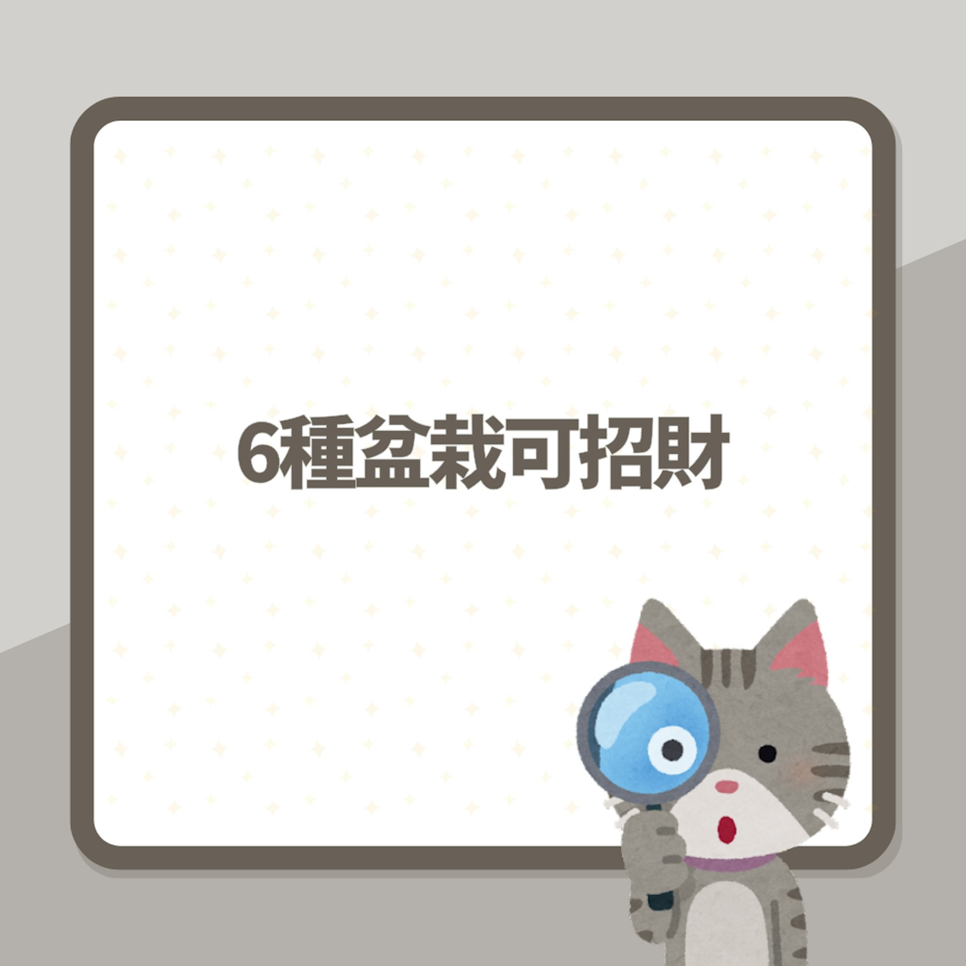 風水|6種盆栽可招財 專家揭5大禁忌 擺這種花吸走財氣仲會減壽(01製圖) 風水|6種盆栽可招財 專家揭5大禁忌 擺這種花吸走財氣仲會減壽(01製圖)