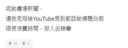 網民真係心水清。（截圖）