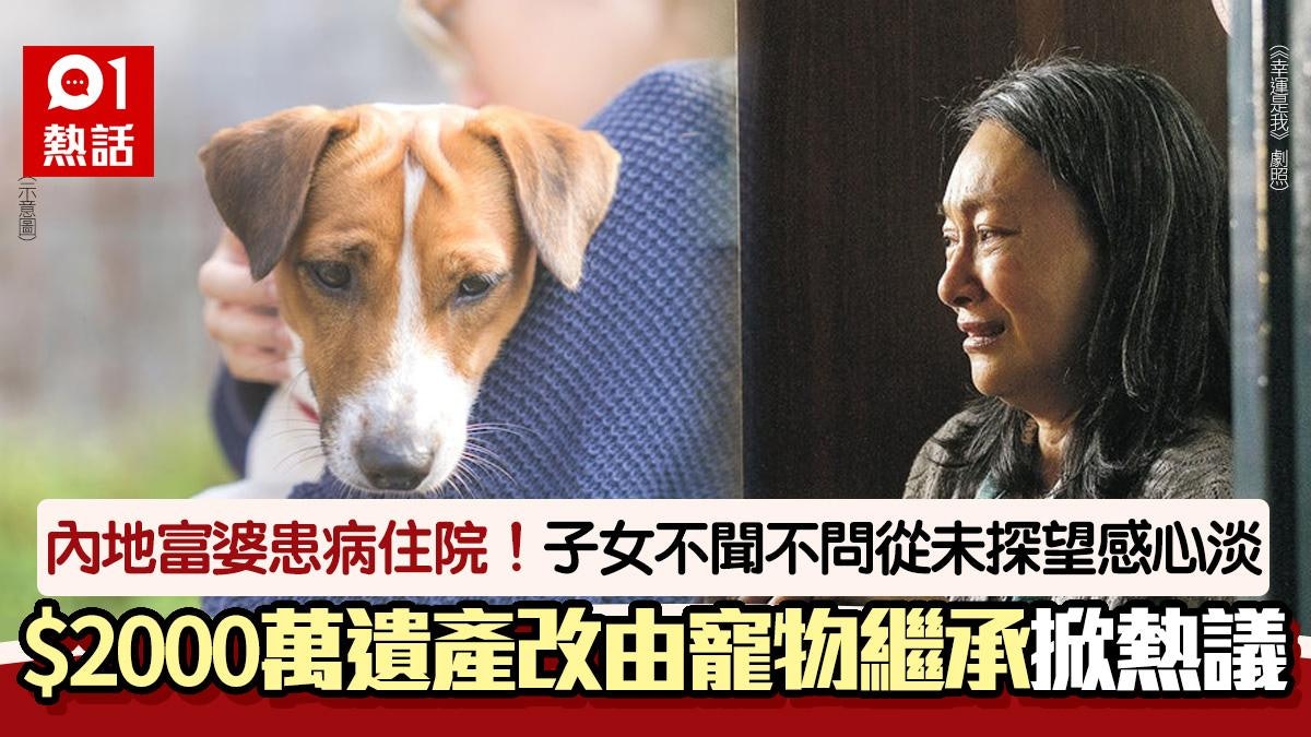 富婆患病3子女從沒探望 千萬遺產改由寵物繼承 網民:人間清醒 富婆患病3子女從沒探望 千萬遺產改由寵物繼承 網民:人間清醒