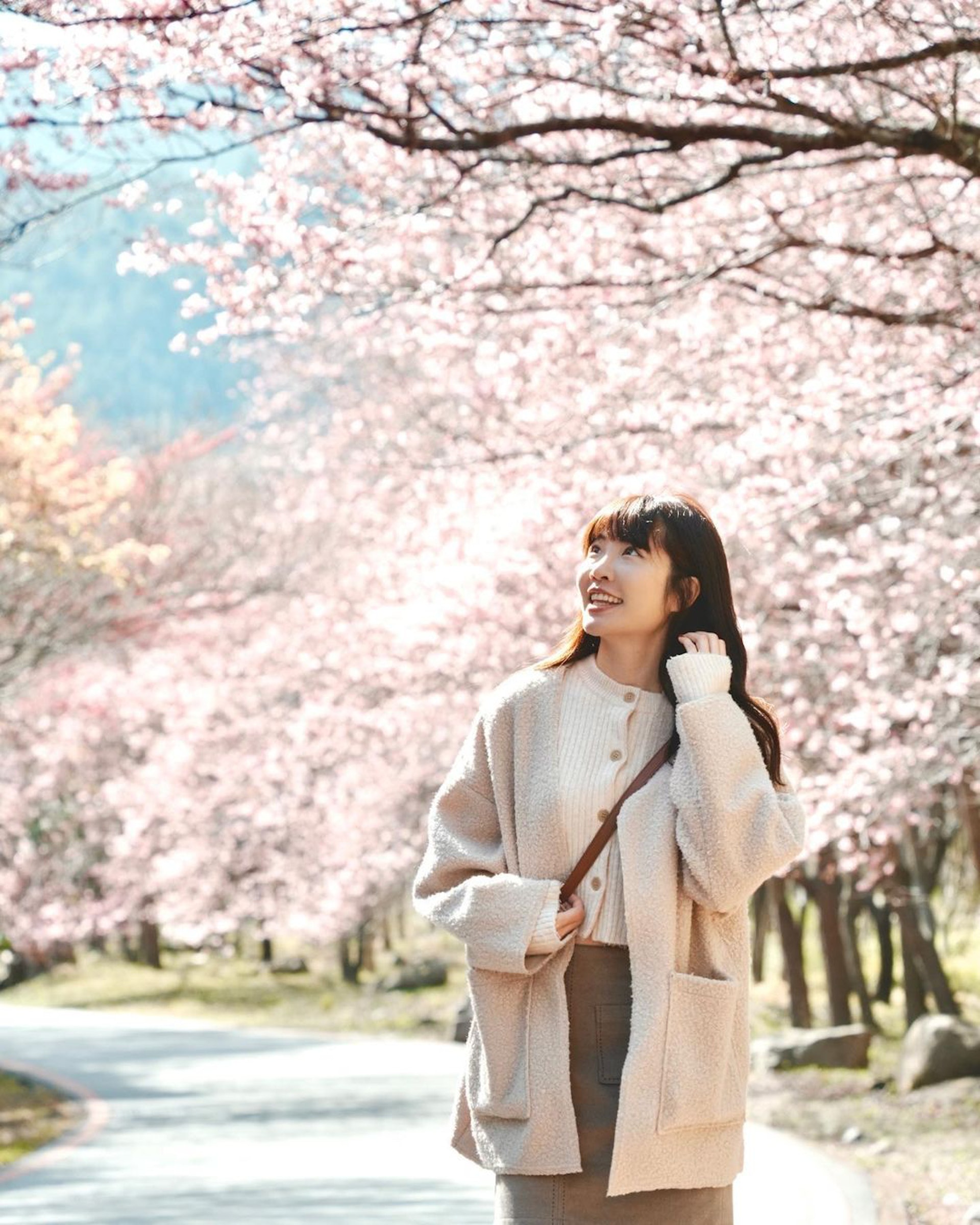 台灣櫻花浪漫盛放(圖片來源:IG@irenejian) 台灣櫻花浪漫盛放(圖片來源:IG@irenejian)