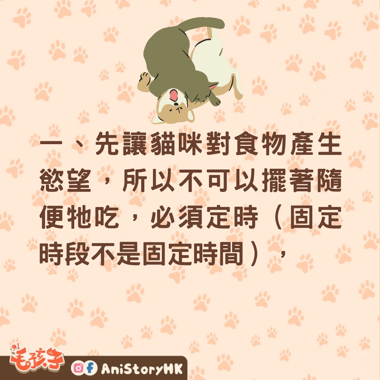 貓咪們在家總是打架怎麼辦?(01製圖) 貓咪們在家總是打架怎麼辦?(01製圖)