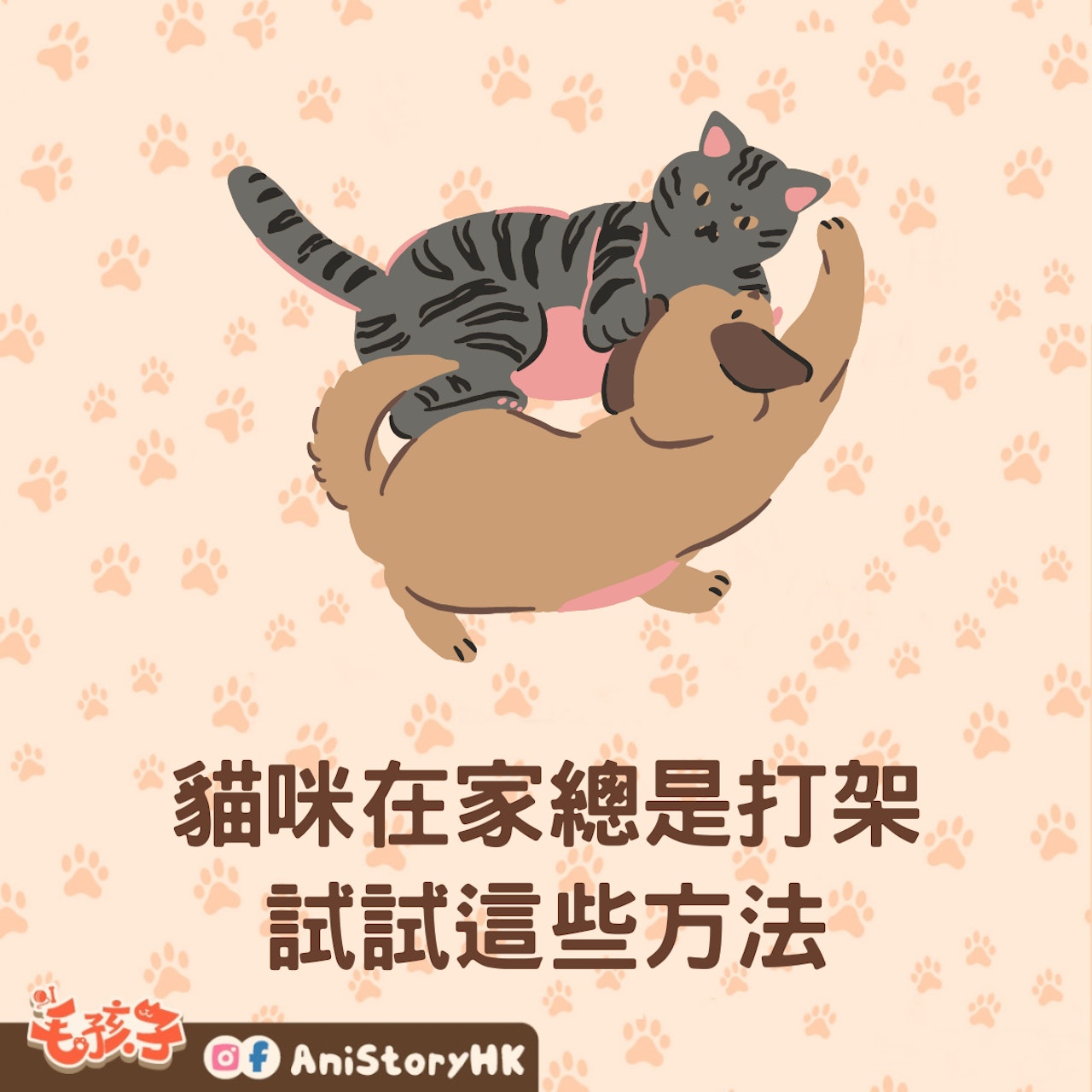 貓咪們在家總是打架怎麼辦?(01製圖) 貓咪們在家總是打架怎麼辦?(01製圖)