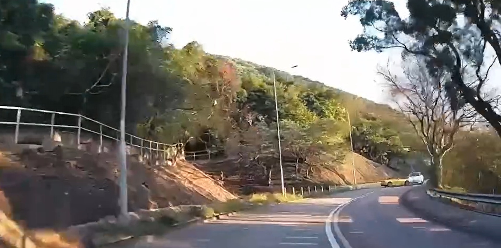 A yellow private car was speeding on the road when suddenly a white dove swerved and hit a white private car on the opposite side of the road. (Screenshot of a clip from the "Things on the Road" discussion area) A yellow private car was speeding on the road when suddenly a white dove swerved and hit a white private car on the opposite side of the road. (Screenshot of a clip from the "Things on the Road" discussion area)