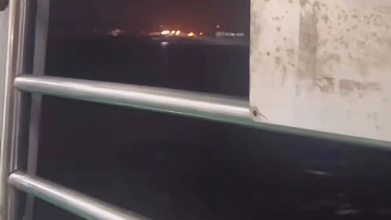 男子海口乘渡輪凌晨突然跳海 湛江海事局:仍搜救中未獲失蹤報告 男子海口乘渡輪凌晨突然跳海 湛江海事局:仍搜救中未獲失蹤報告