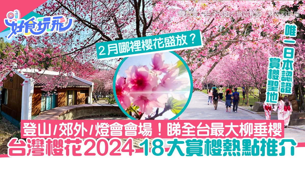 台灣櫻花2024賞櫻熱點18大推介 3萬棵櫻花林/賞全台最大柳垂櫻 台灣櫻花2024賞櫻熱點18大推介 3萬棵櫻花林/賞全台最大柳垂櫻