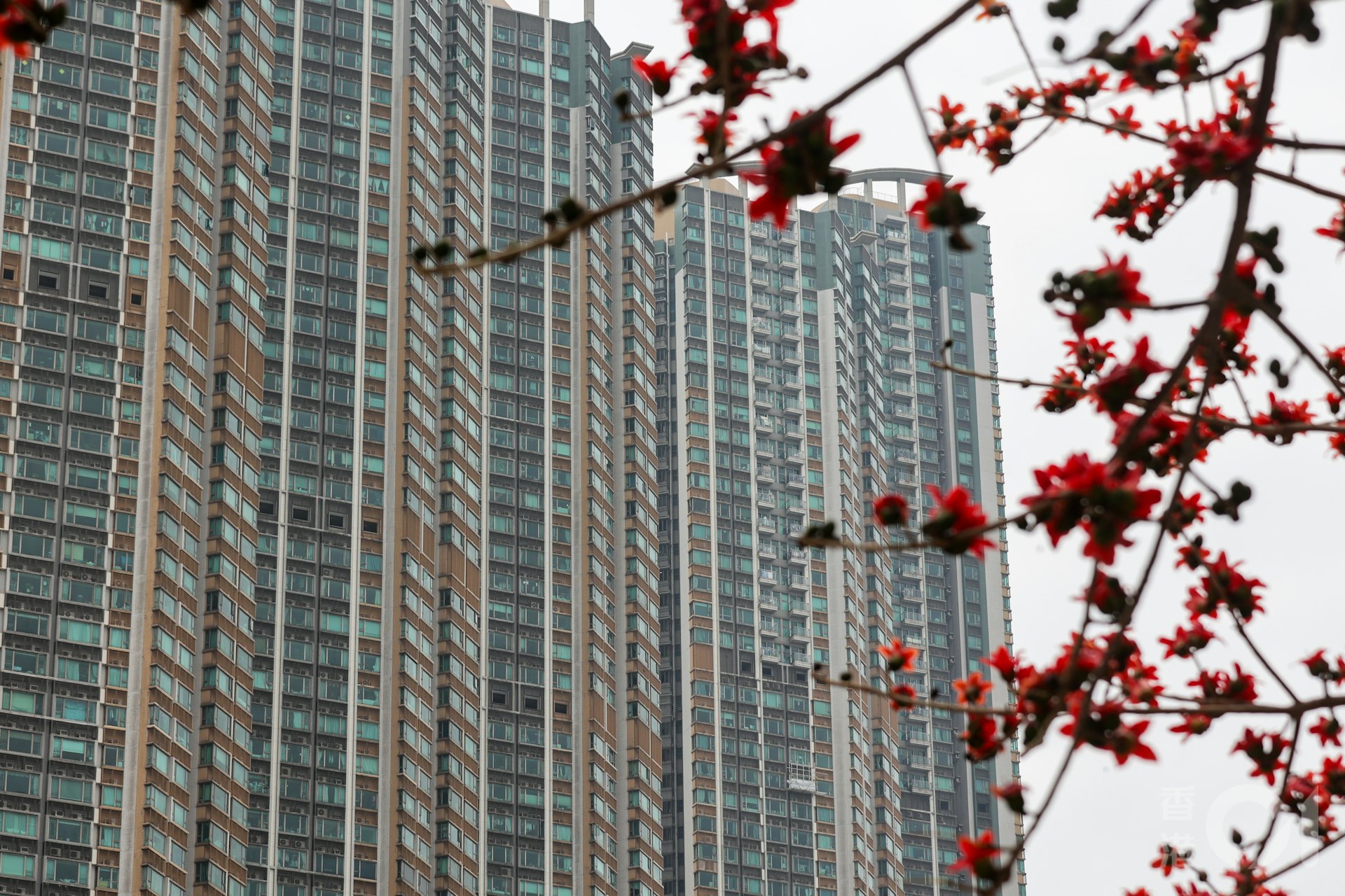 2002年至2007年任房屋及規劃地政局局長的孫明揚,曾推出「孫九招」托樓市。(資料圖片) 2002年至2007年任房屋及規劃地政局局長的孫明揚,曾推出「孫九招」托樓市。(資料圖片)