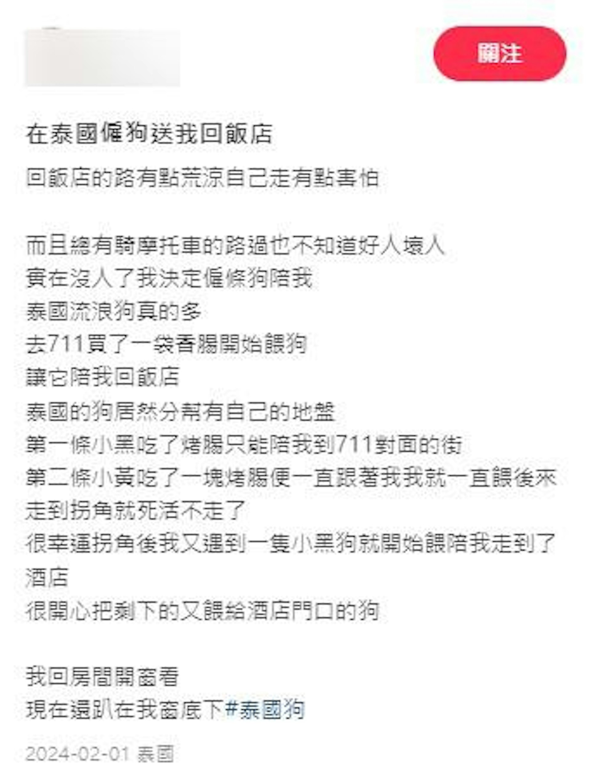 有內地女生獨自前往泰國旅遊,深夜聘用流浪狗「保鑣」護送返酒店。(小紅書圖片) 有內地女生獨自前往泰國旅遊,深夜聘用流浪狗「保鑣」護送返酒店。(小紅書圖片)
