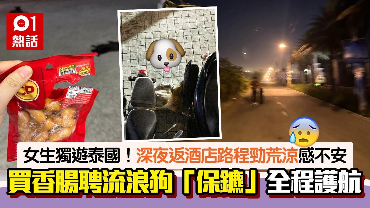 女生獨遊泰國!深夜行回酒店感不安 買香腸僱3流浪狗保鑣秒安心 女生獨遊泰國!深夜行回酒店感不安 買香腸僱3流浪狗保鑣秒安心