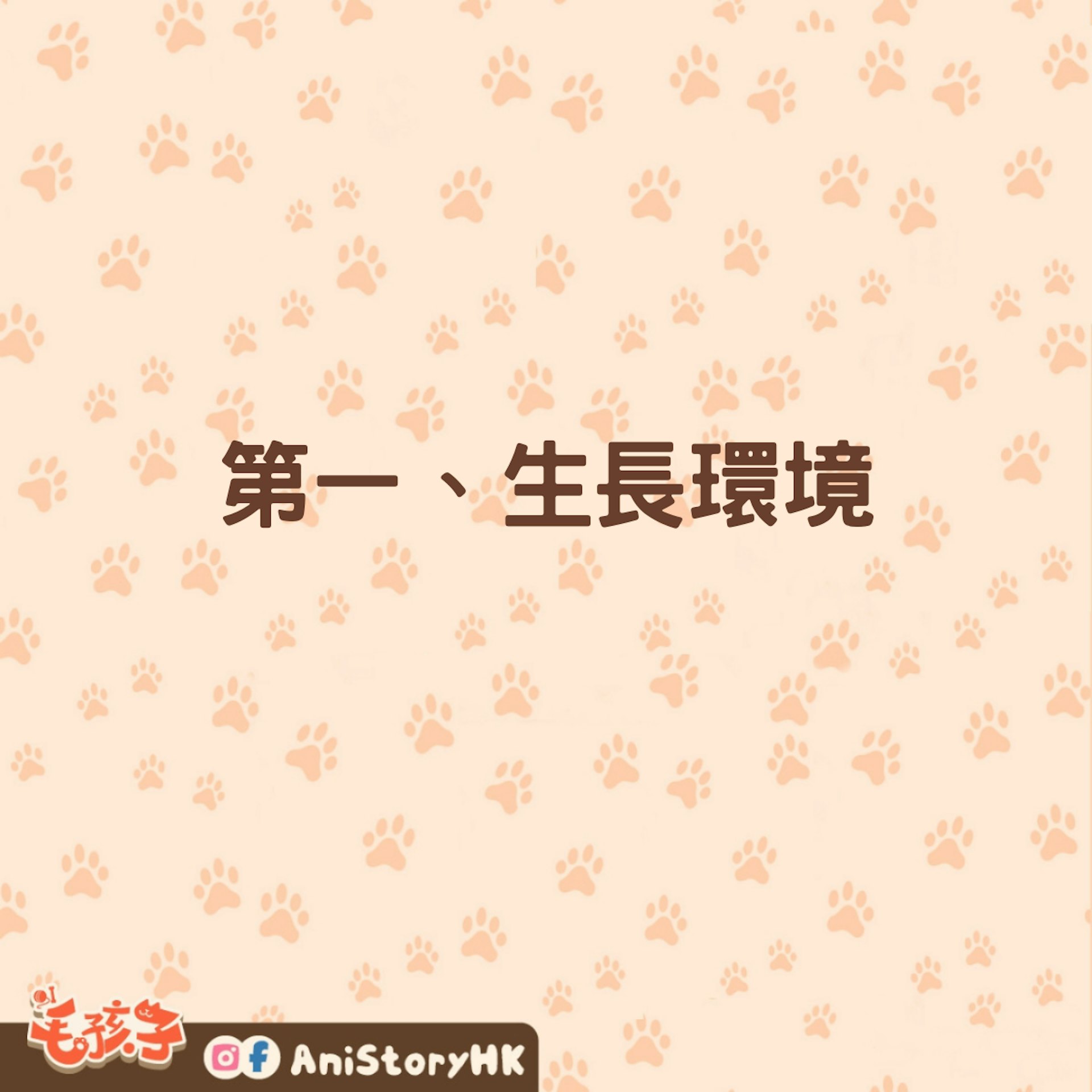 巴西龜怎麼養?這7點要注意(01製圖) 巴西龜怎麼養?這7點要注意(01製圖)