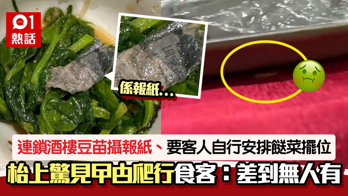 嘔！連鎖酒樓枱面驚見曱甴周圍爬　豆苗攝報紙　網民：以為係魚皮