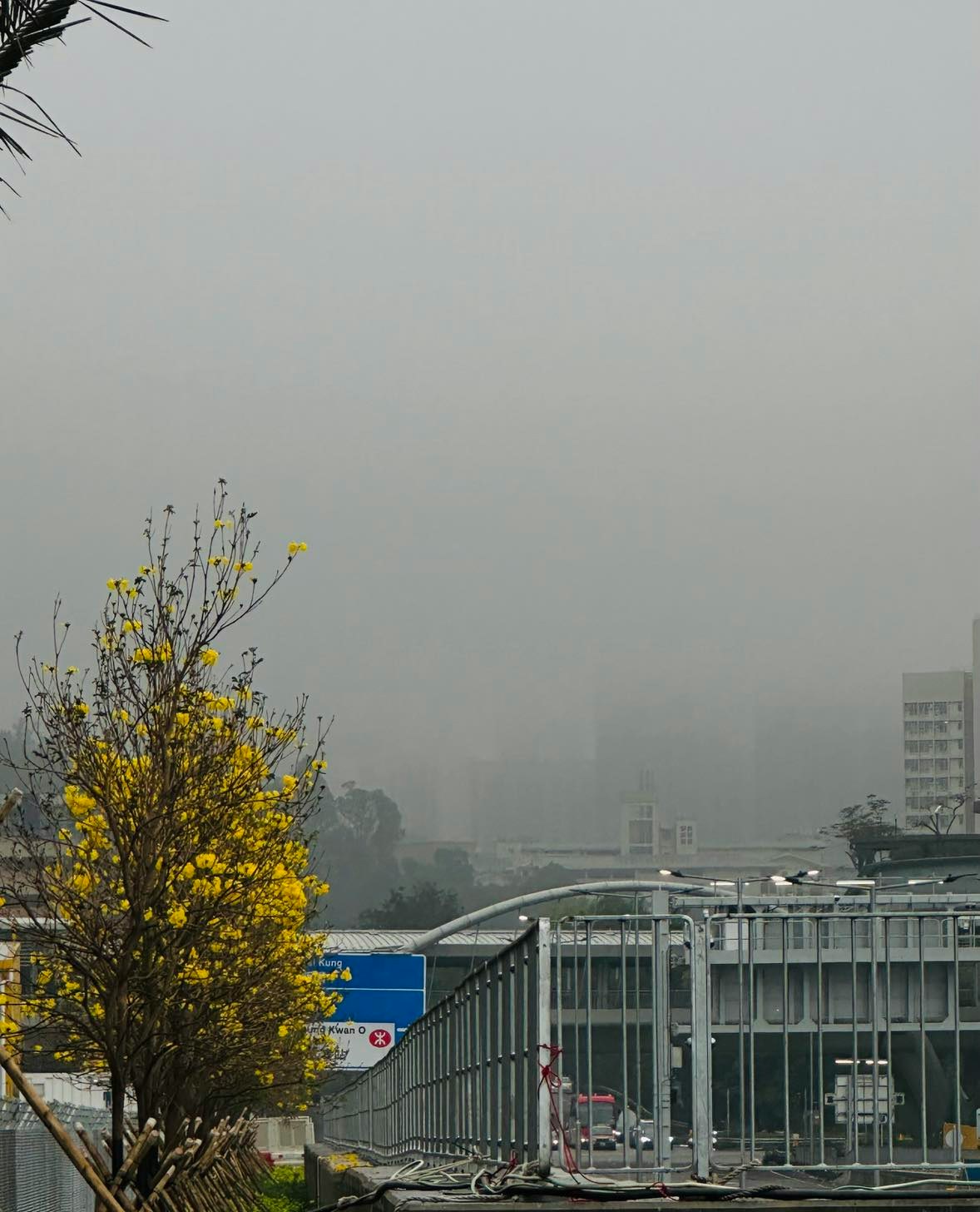 3月5日全港大潮湿，「雾都」将军澳早上有浓雾。（Winnie Lam提供图片）
