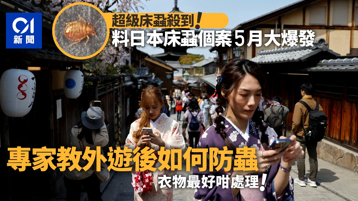 專家料日本床蝨個案5月急增　外遊後如何為衣服殺蟲？教路一招KO