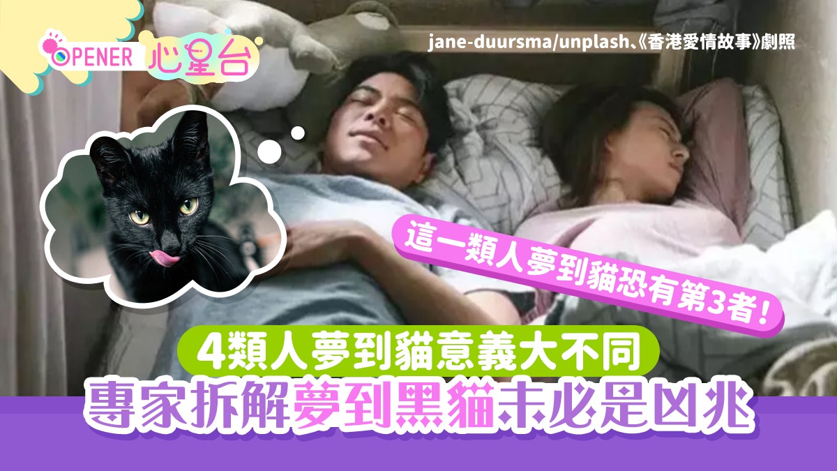 解夢|夢見黑貓未必是凶兆!拆解夢到貓咪4原因 1類人恐有第3者 解夢|夢見黑貓未必是凶兆!拆解夢到貓咪4原因 1類人恐有第3者
