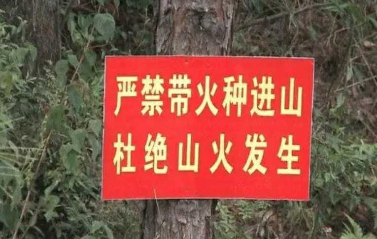 雲南臨滄山火燒逾5公頃森林三人滅火過程中遇險身亡