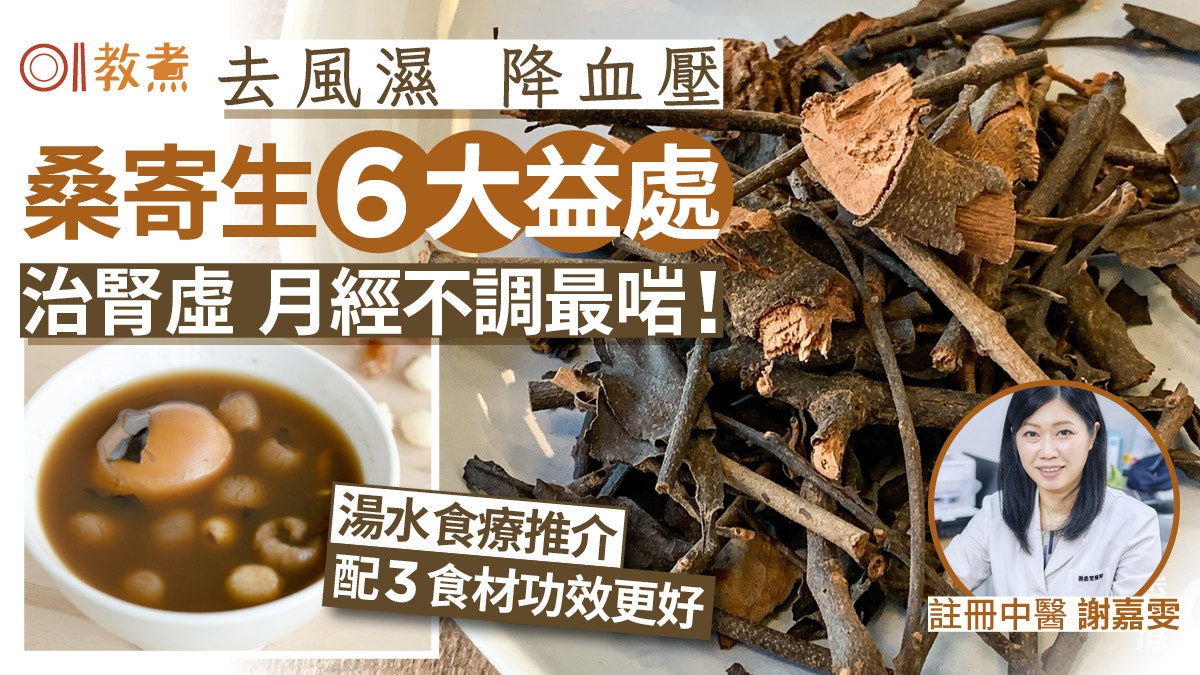 桑寄生功效|補腎降血壓6益處2類人不宜 中醫推1湯水防風濕痹痛 桑寄生功效|補腎降血壓6益處2類人不宜 中醫推1湯水防風濕痹痛