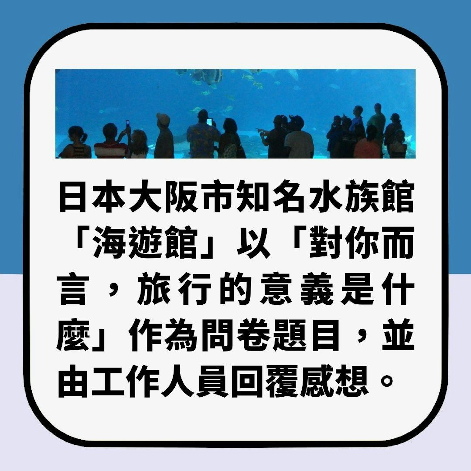 你睇唔睇得明?水族館問卷「乜都冇填」 聰明員工憑一線索解謎(01製圖) 你睇唔睇得明?水族館問卷「乜都冇填」 聰明員工憑一線索解謎(01製圖)