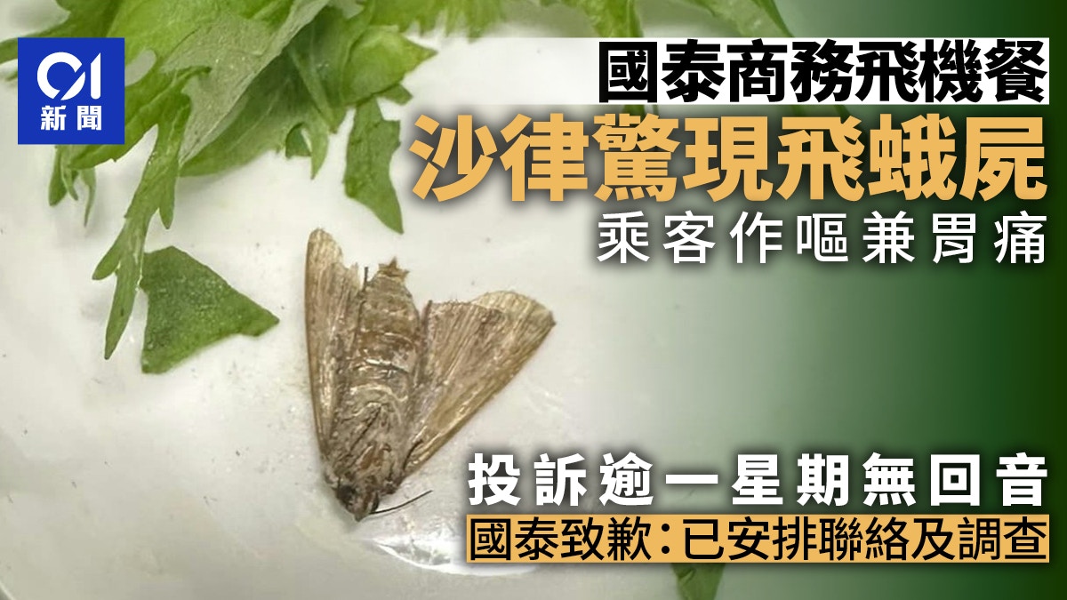 國泰商務客食沙律見飛蛾屍　投訴後無回音　國泰致歉：已安排聯絡