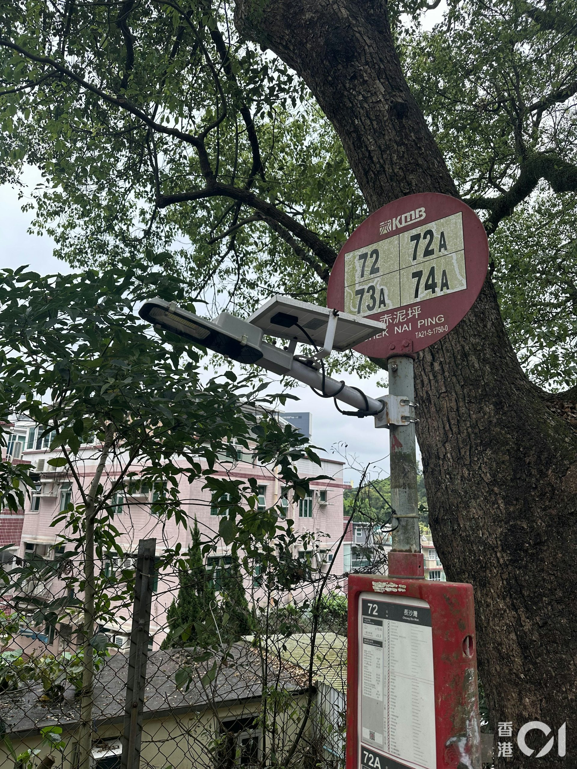 涉事巴士為九巴73A線,來往粉嶺(華明)及愉翠苑,途經太和邨、大埔墟、大埔滘。(王譯揚攝) 涉事巴士為九巴73A線,來往粉嶺(華明)及愉翠苑,途經太和邨、大埔墟、大埔滘。(王譯揚攝)