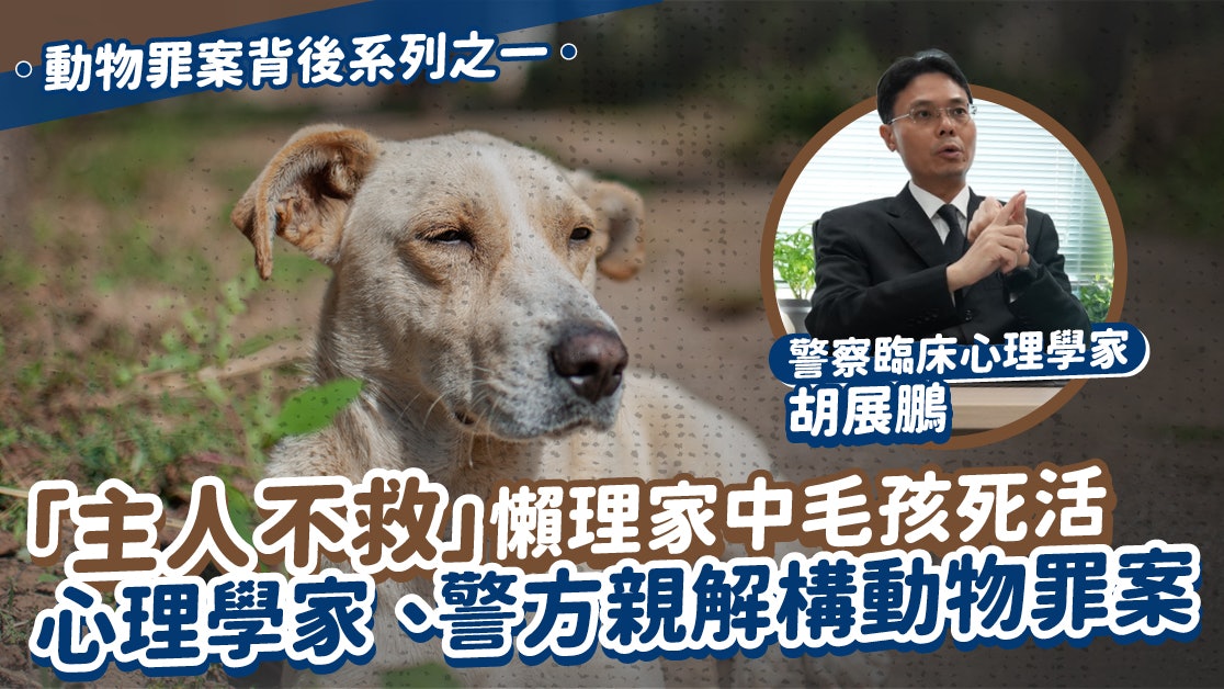 「主人不救」懶理家中毛孩死活 心理學家、警方親解構動物罪案 「主人不救」懶理家中毛孩死活 心理學家、警方親解構動物罪案