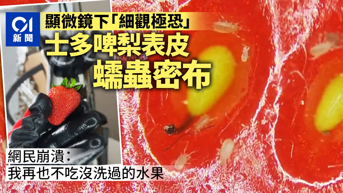 食生果不洗乾淨? 士多啤梨表皮全是蟲蟲密麻亂竄 實測片熱傳 食生果不洗乾淨? 士多啤梨表皮全是蟲蟲密麻亂竄 實測片熱傳