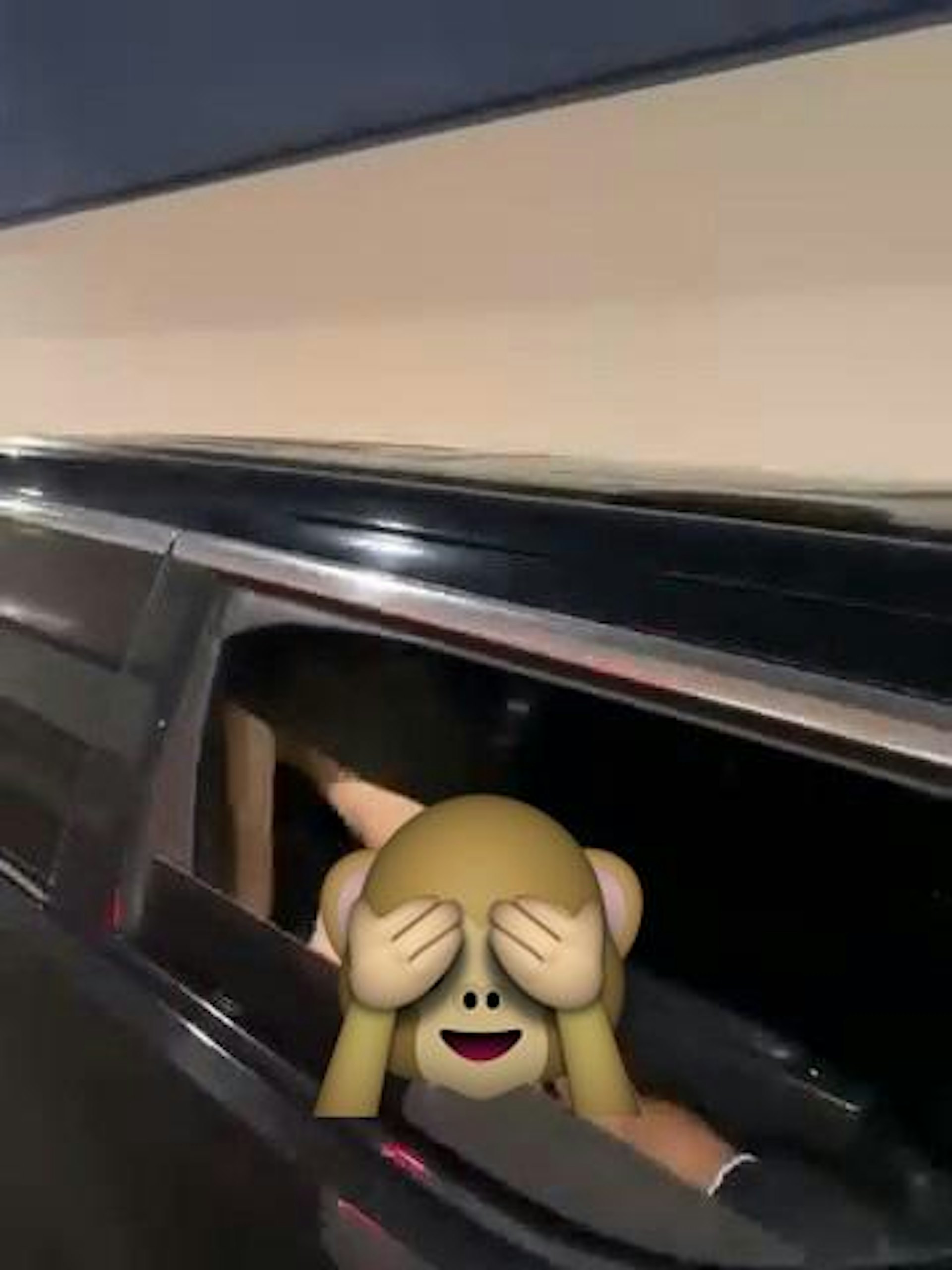 本港網絡瘋傳1段「隧道車震」影片。(影片截圖)