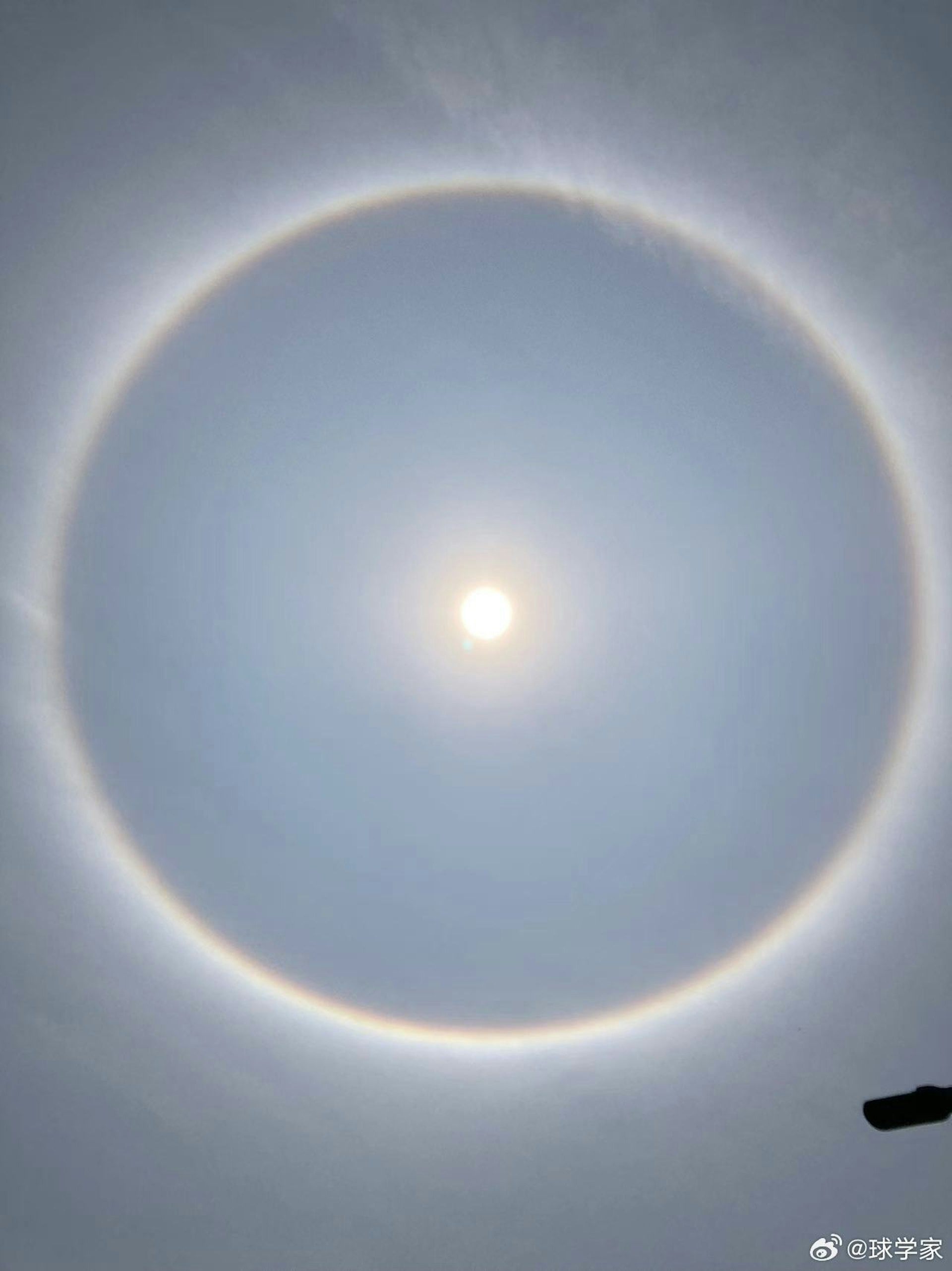 深圳多區天空出現日暈奇觀。(微博) 深圳多區天空出現日暈奇觀。(微博)