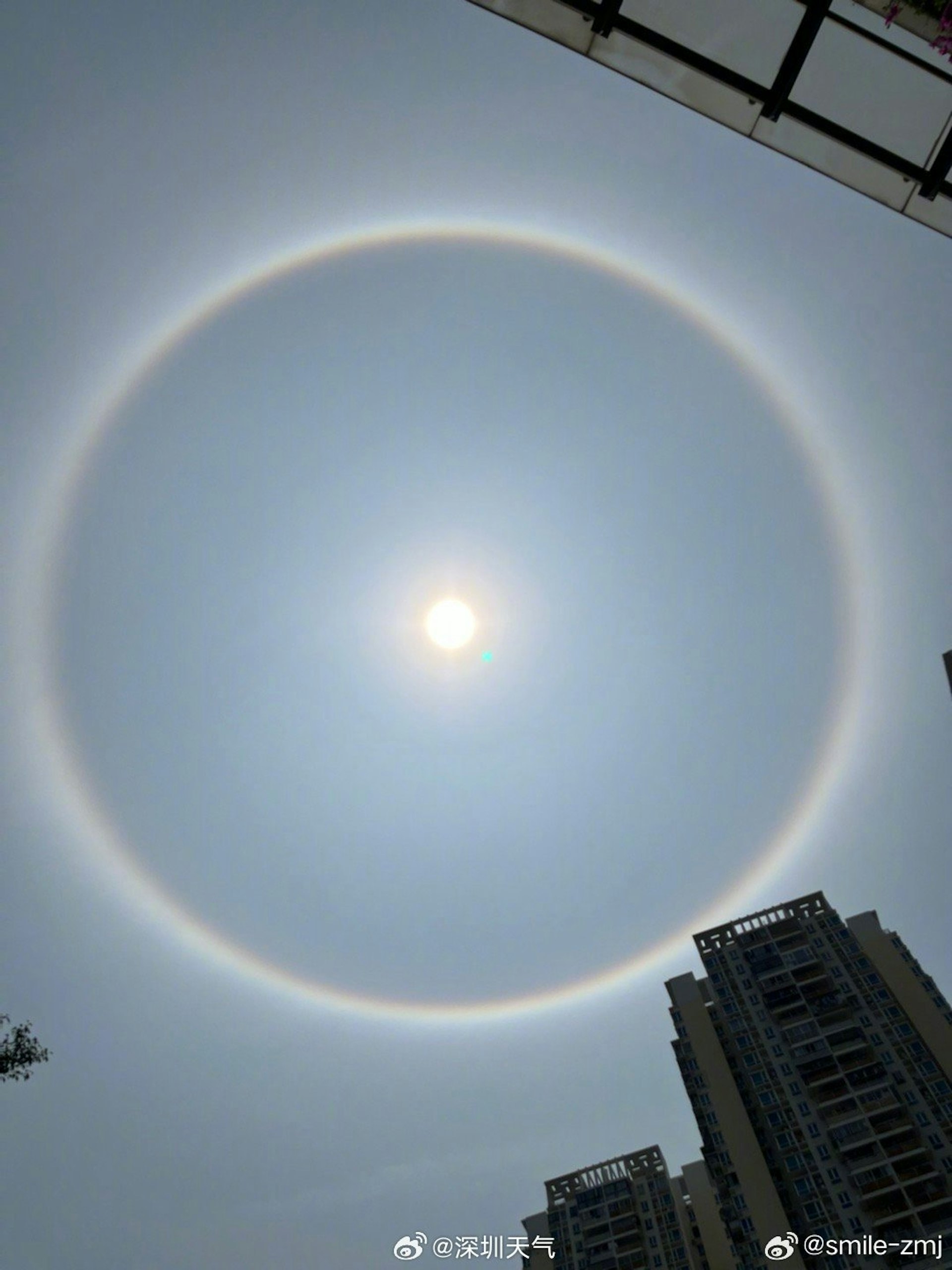 深圳多區天空出現日暈奇觀。(微博) 深圳多區天空出現日暈奇觀。(微博)