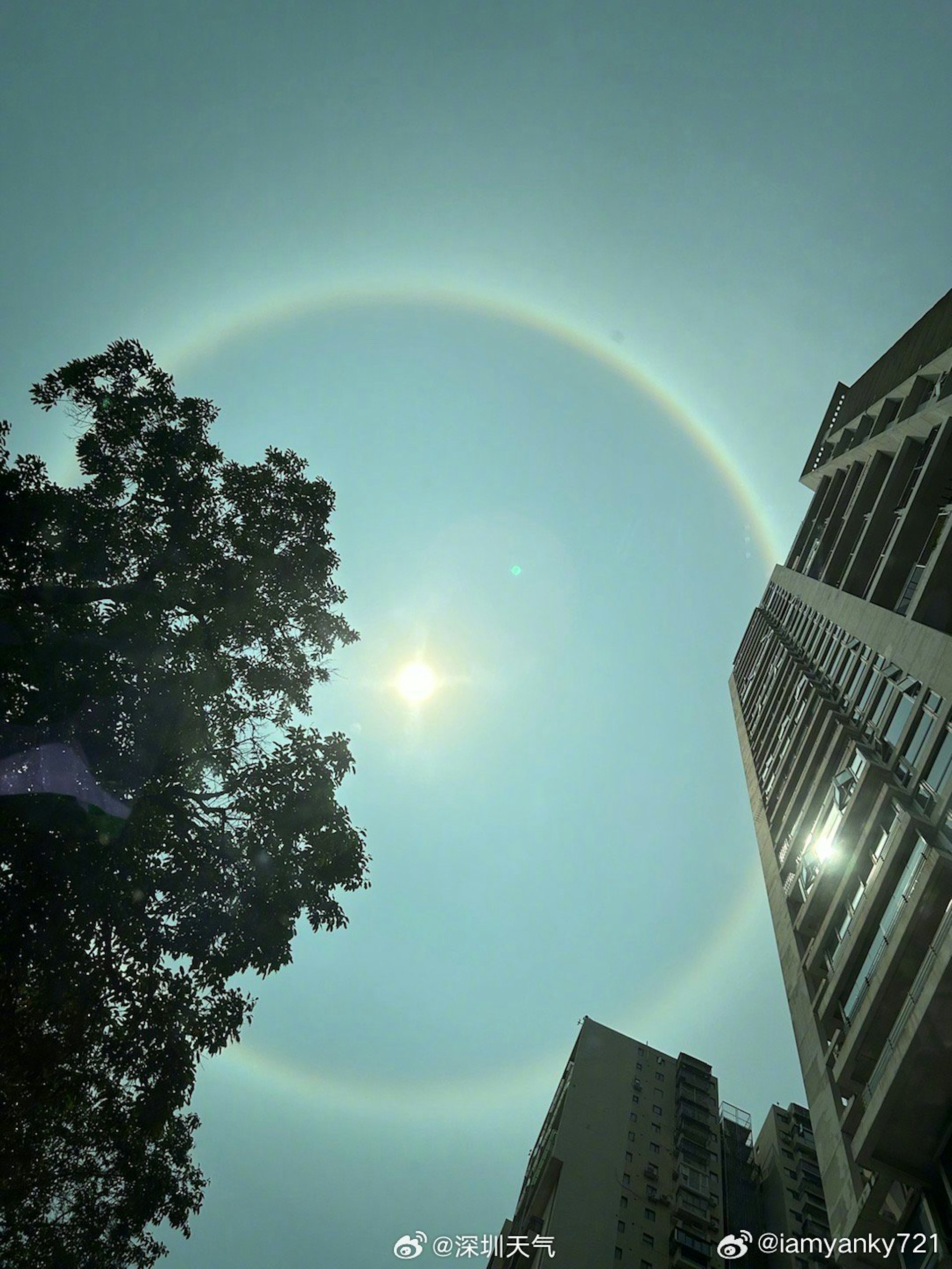 深圳多區天空出現日暈奇觀。(微博) 深圳多區天空出現日暈奇觀。(微博)