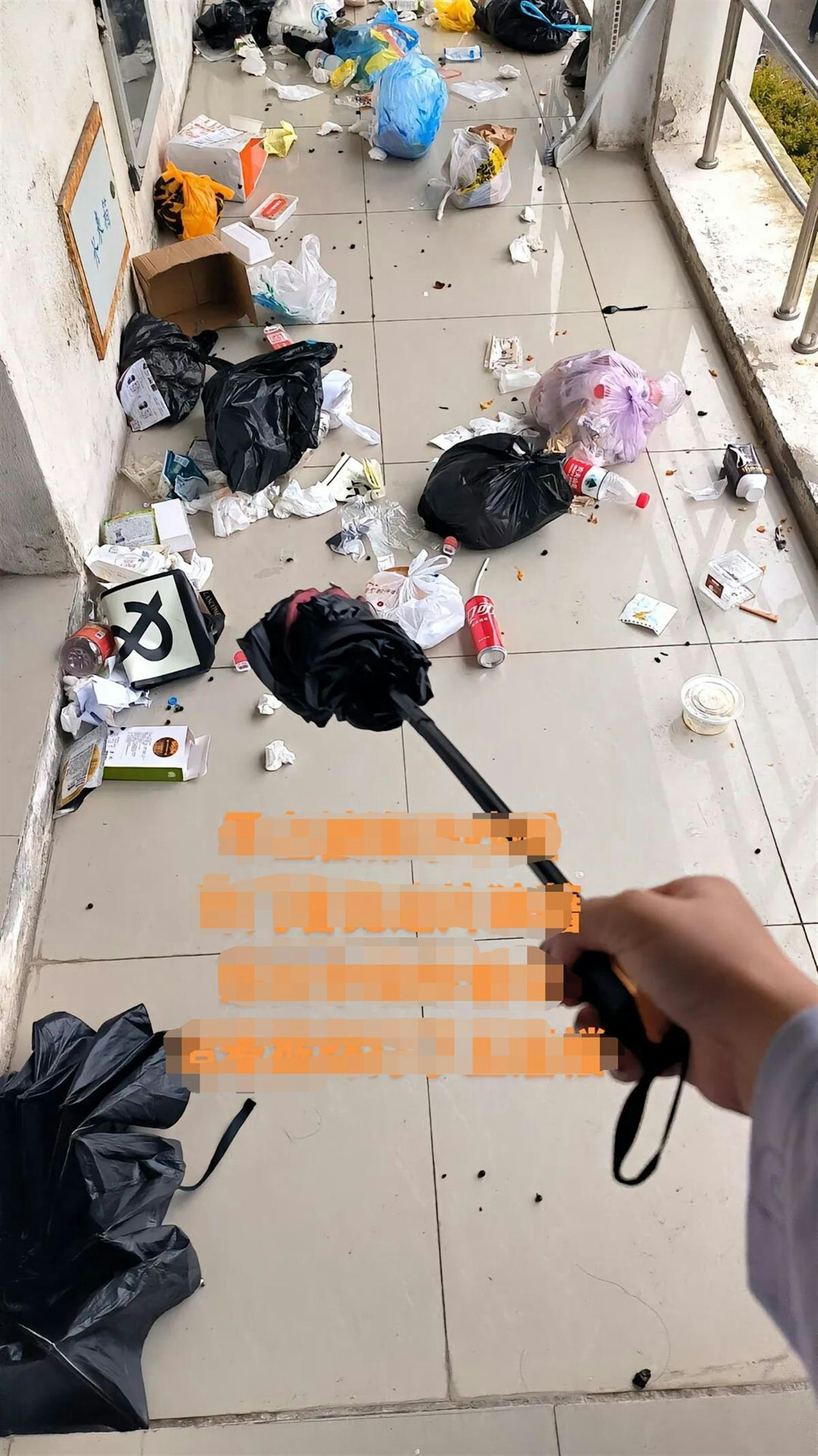 江蘇有一群野猴下山,闖入蘇州科技大學石湖校區的女生宿舍。(微博) 江蘇有一群野猴下山,闖入蘇州科技大學石湖校區的女生宿舍。(微博)