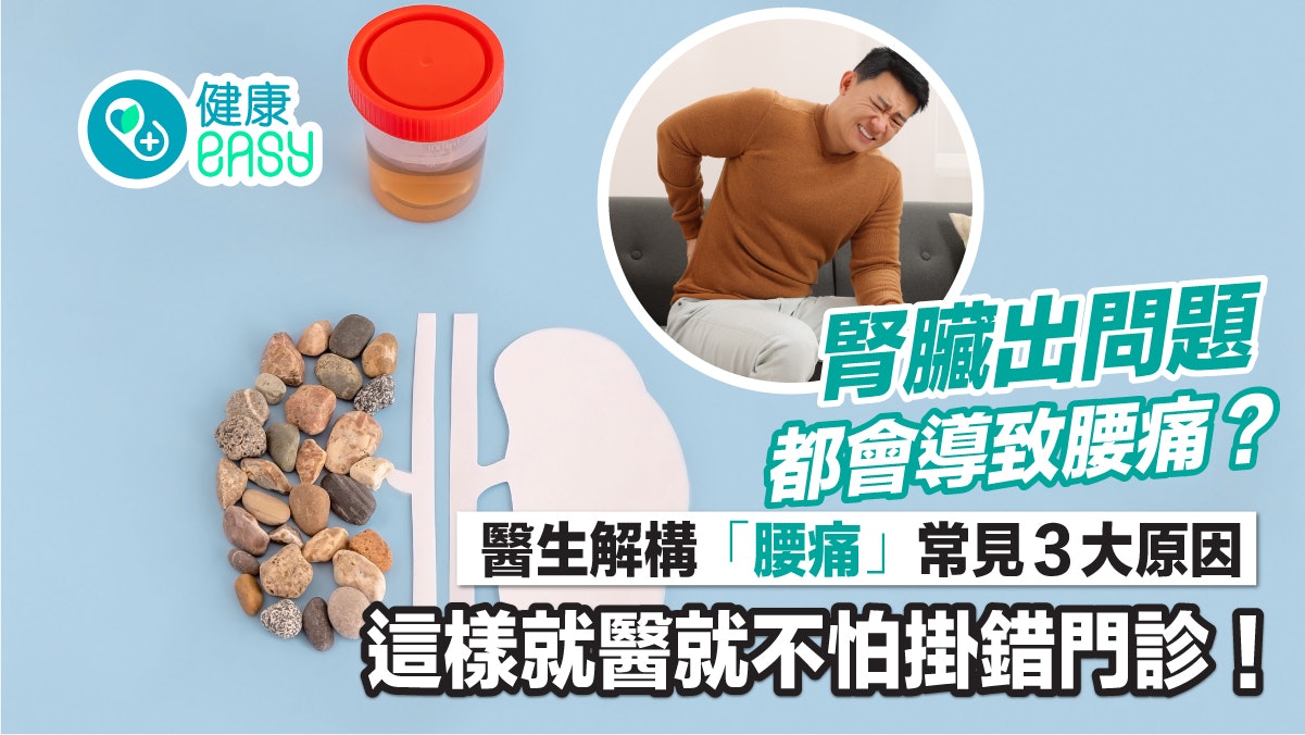 腎臟健康|腰痛常見有三大原因!如何辨別是否為腎臟發炎? 腎臟健康|腰痛常見有三大原因!如何辨別是否為腎臟發炎?