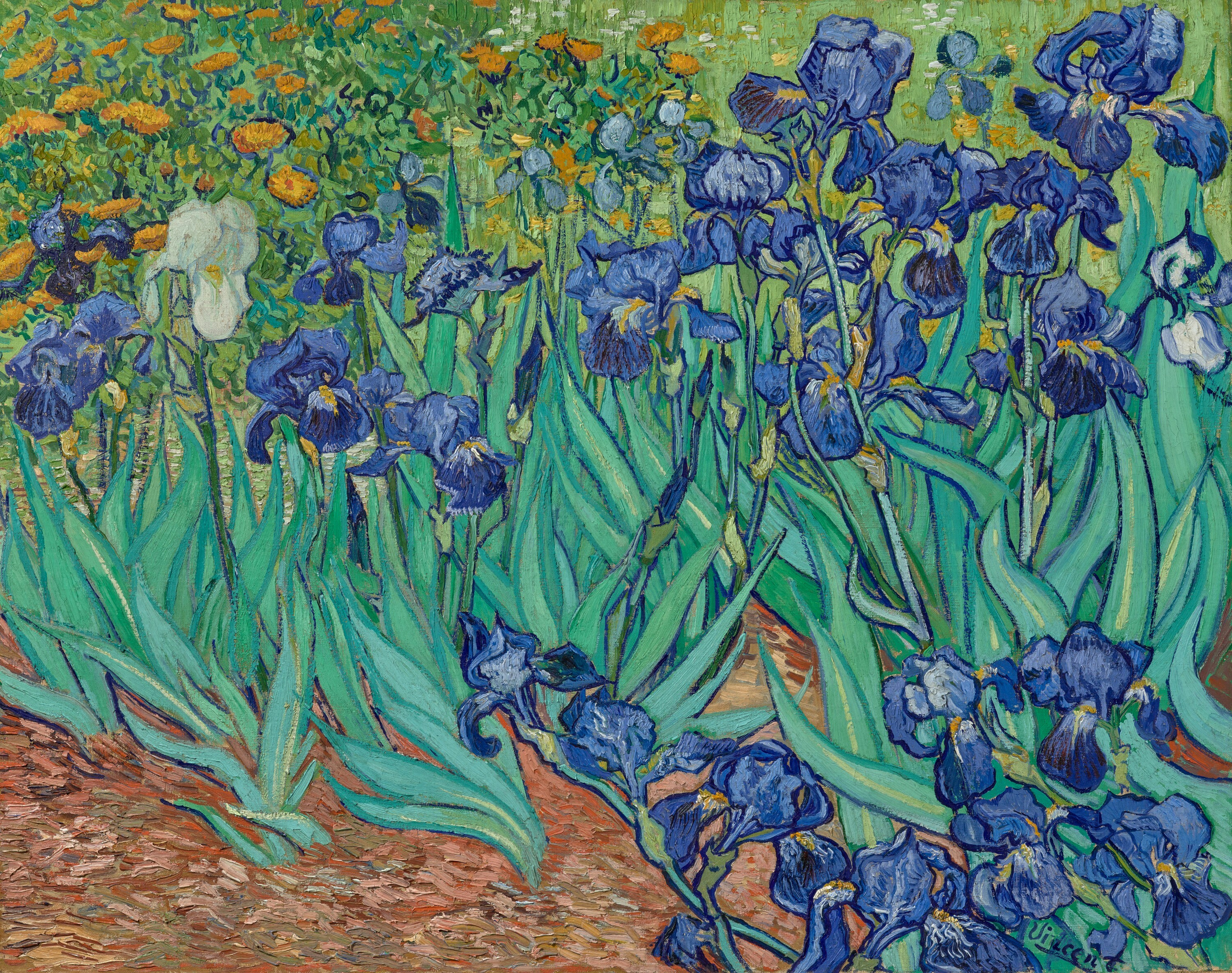 《Irises》，1889，Vincent van Gogh（圖片來源：J. Paul Getty Museum）