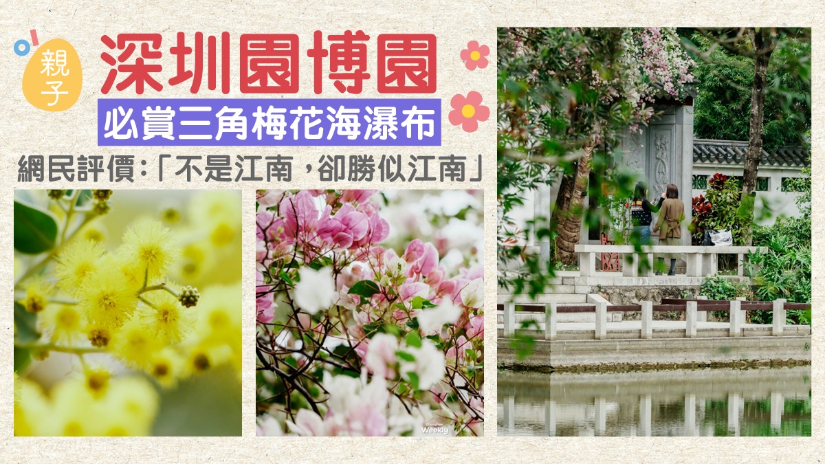 深圳園博園「簕杜鵑花海」再臨！坐落福田又一親子春日賞花熱點