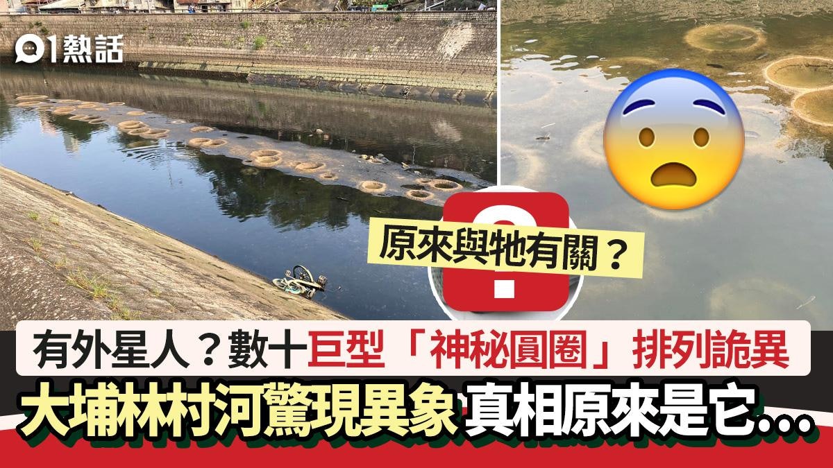 大埔林村河驚現異象?巨型「神秘圓圈」排列詭異 真相原來是它… 大埔林村河驚現異象?巨型「神秘圓圈」排列詭異 真相原來是它…