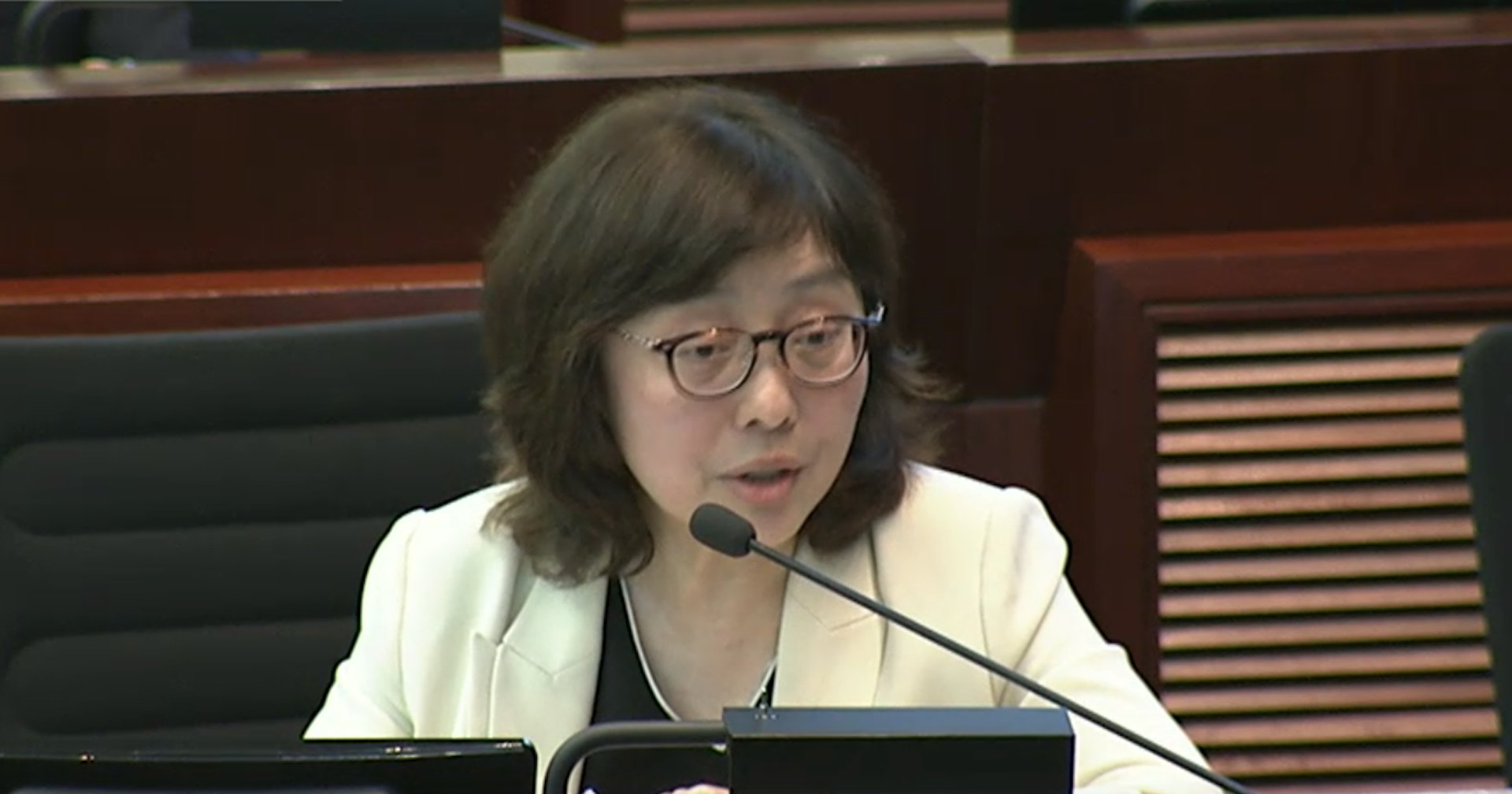 甯漢豪(立法會直播畫面截圖) 甯漢豪(立法會直播畫面截圖)