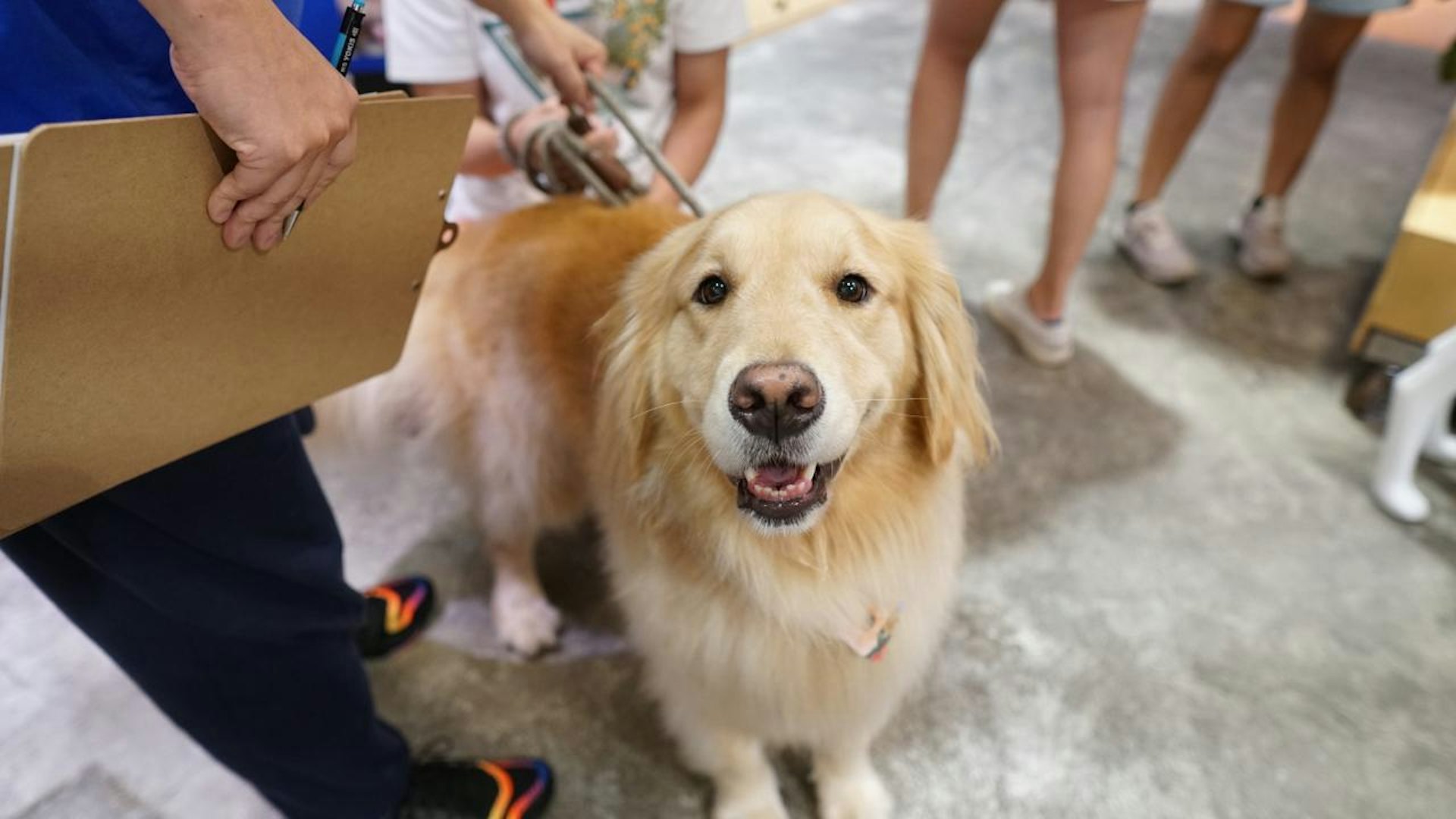 在上周末舉行為期兩天的專業治療犬招募活動，有不少有心狗主携同愛犬參加。（晉智慈善基金提供圖片）
