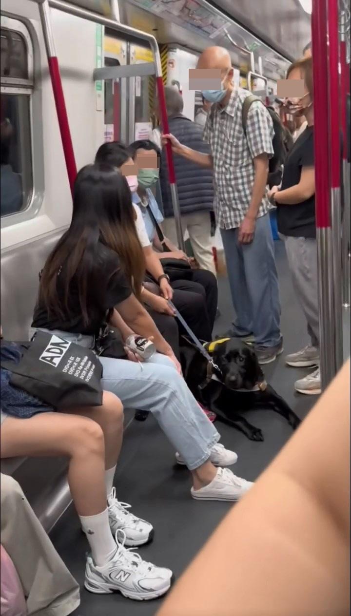 黑色导盲犬趴坐在失明女主人前面，为主人领航，却被1名站在车门旁边的穿背心老伯不断指骂嫌弃。（影片截图）