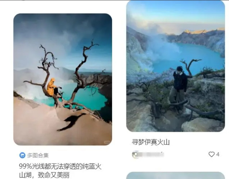 在社交平台上，有很多人会背靠伊真火山的网红树拍照。（网络图片）