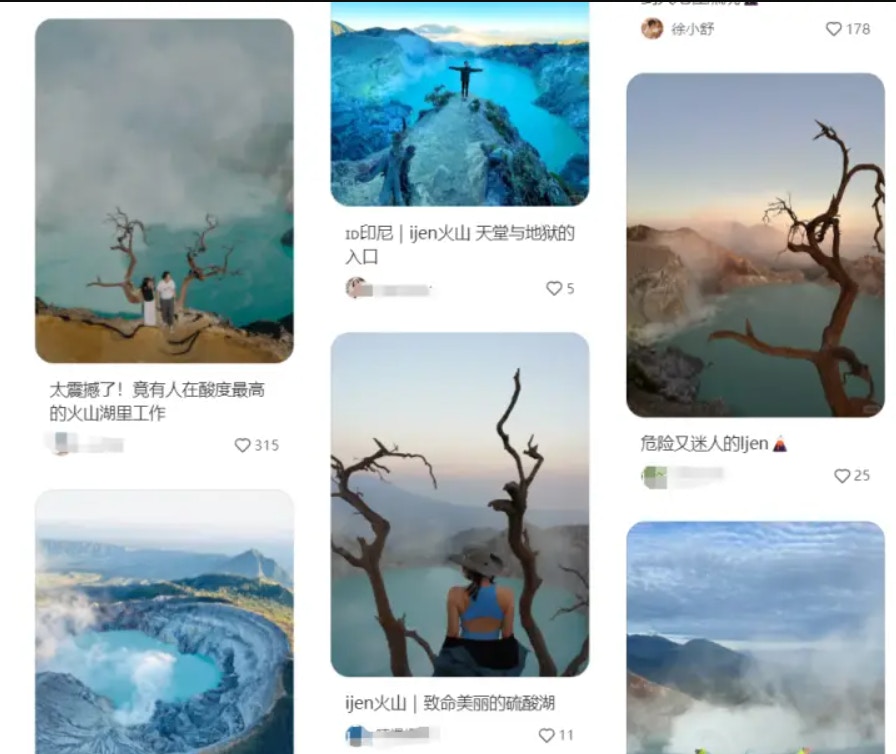 在社交平台上，有很多人会背靠伊真火山的网红树拍照。（网络图片）