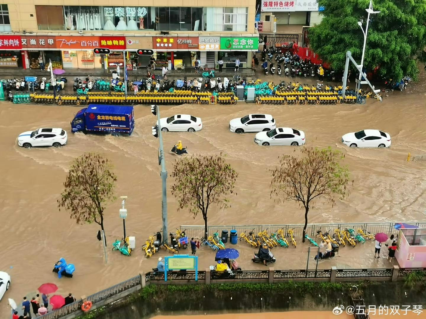 龙华、宝安区有路段变泽国，车辆需涉水而行。（微博）